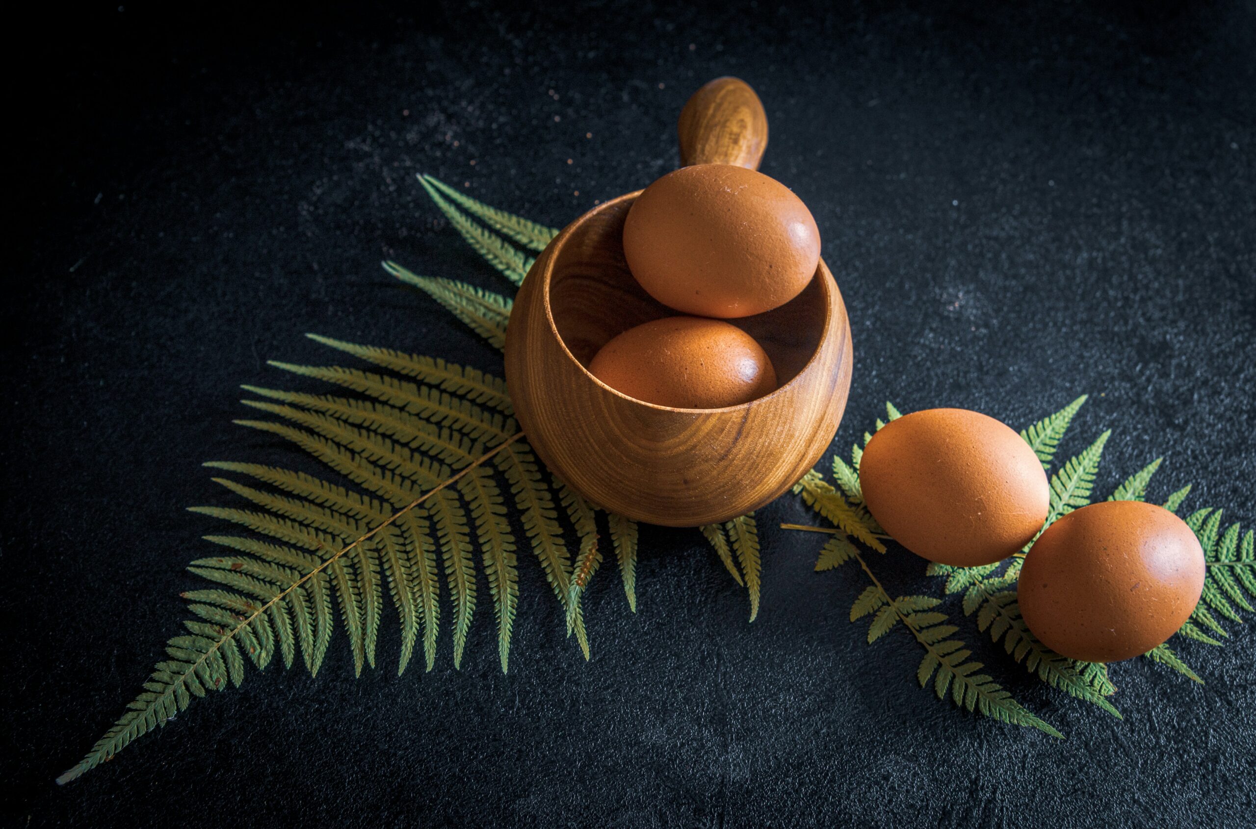 Egg-citing Facts About Organic Eggs